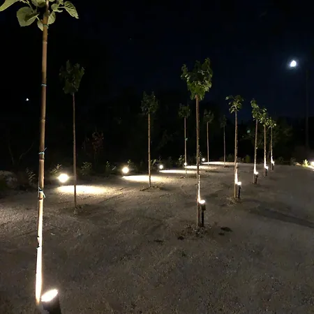 Queen E * Campofilone